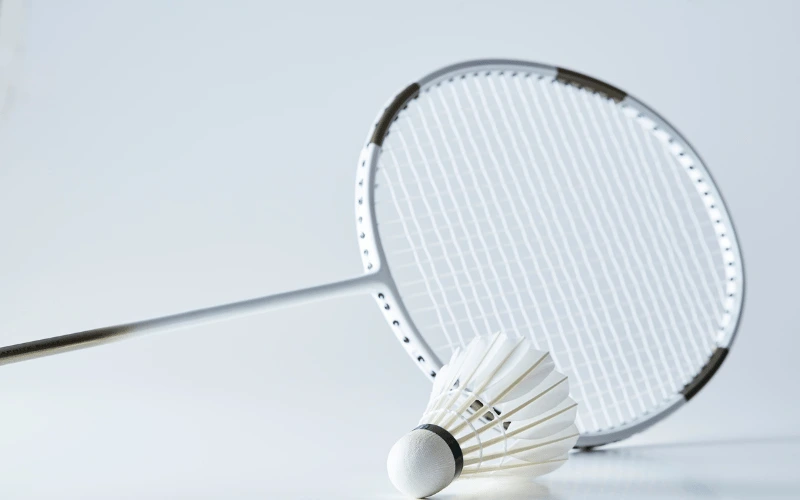 badminton fantasy