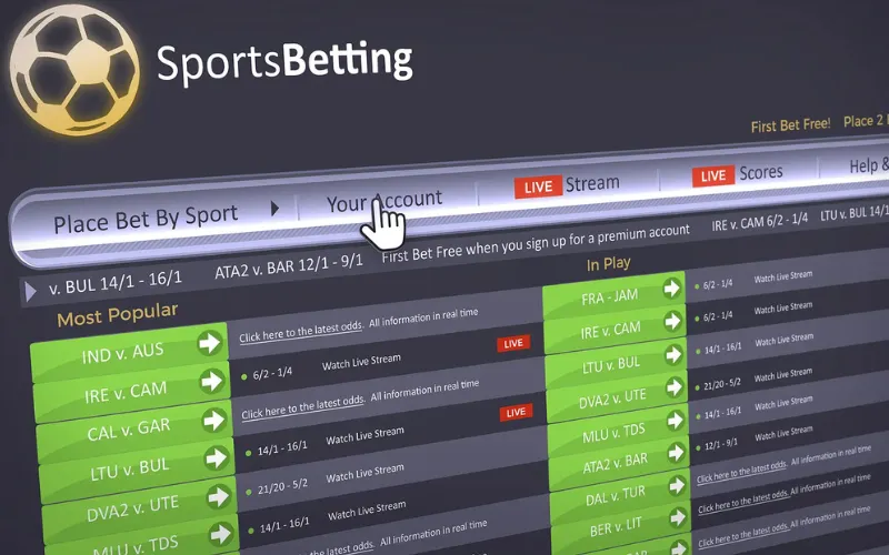 Sports Betting Websites